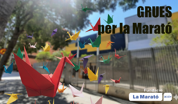 img destacada gruesmarato2025