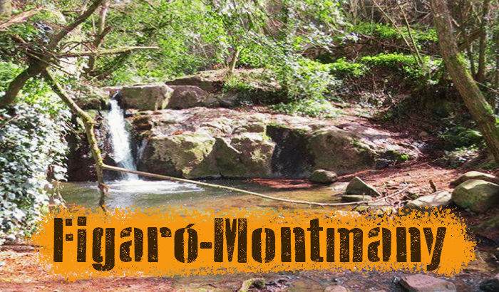 img destacada montmany2025