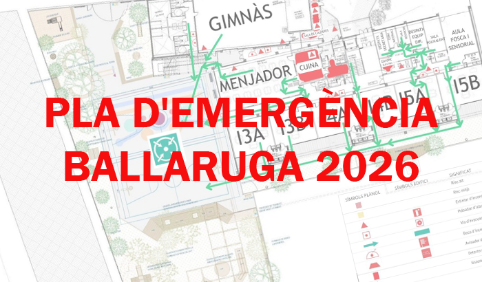 img destacada emergenciaballaruga2026