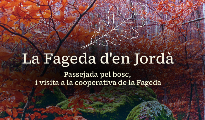 img destacada fageda2026